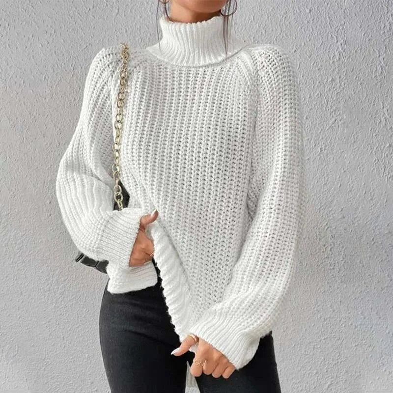 Yvette-Skye Chunky Rib Turtleneck Sweater