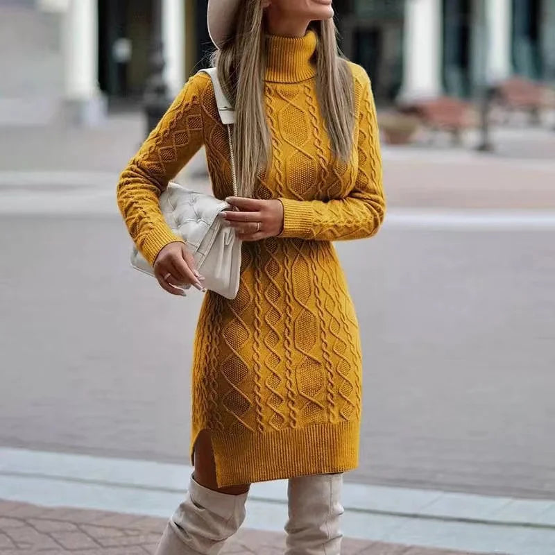 Veronae Knit Turtleneck Dress