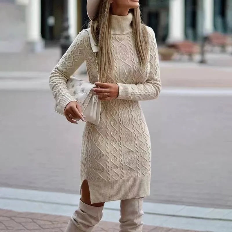 Veronae Knit Turtleneck Dress