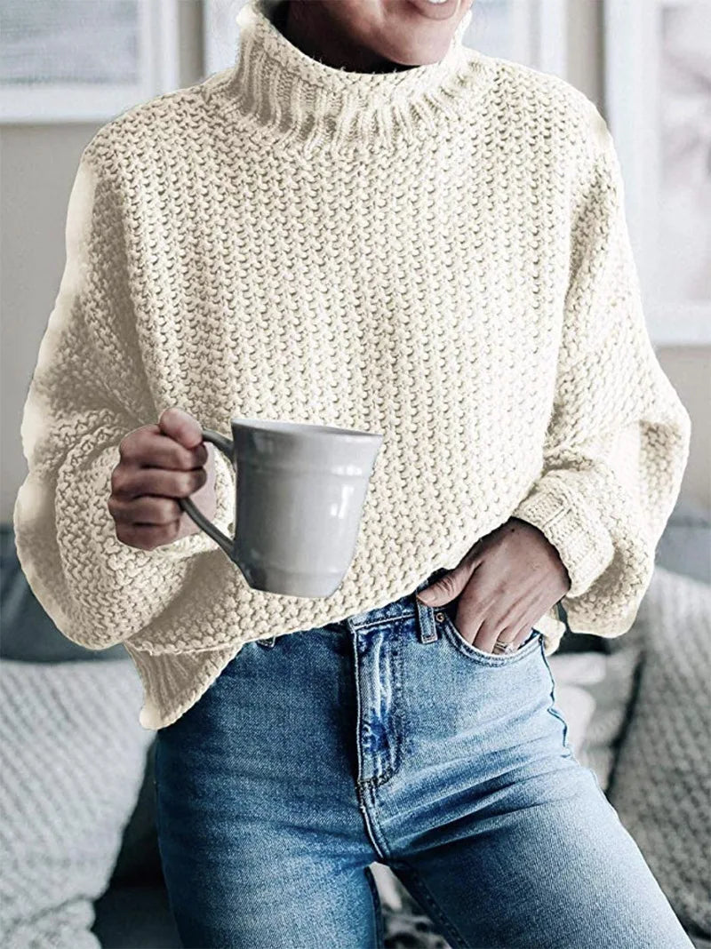 Women’s Chunky Knit Roll Neck Jumper
