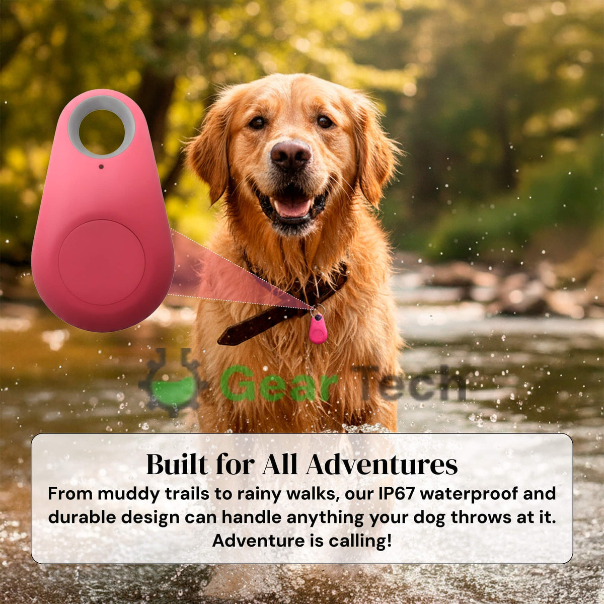 Bluetooth Pet Tracker with Keyring Real-Time GPS Location Tracking Tag