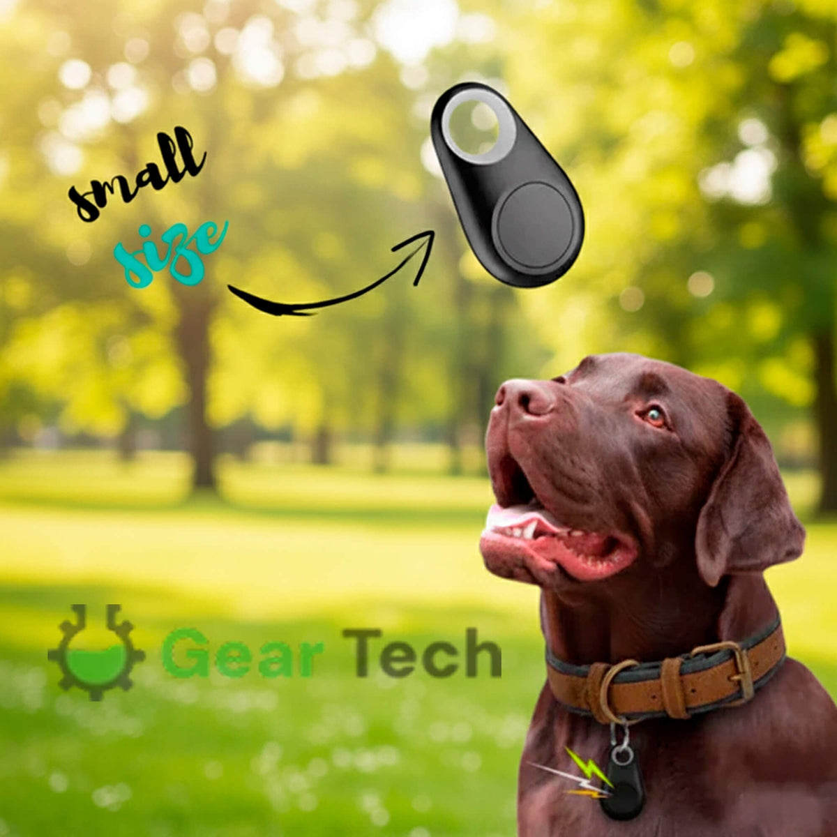 Bluetooth Pet Tracker with Keyring Real-Time GPS Location Tracking Tag