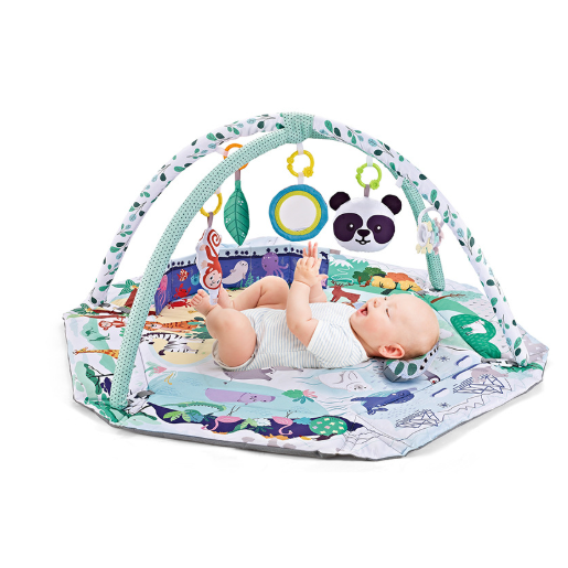 Play Mat Gym with Overhead Arches and Hanging Toys