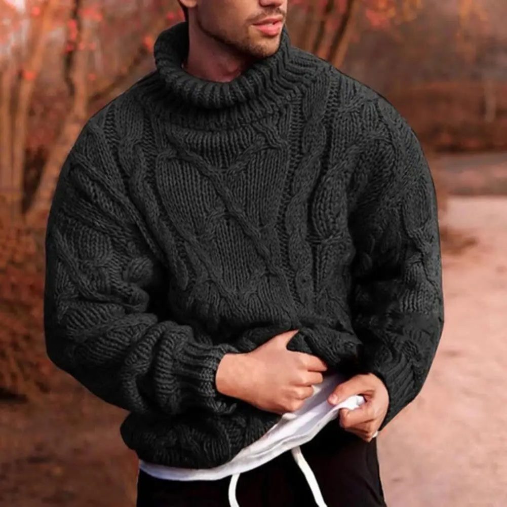 Cable Knit Roll Neck Sweater for Men