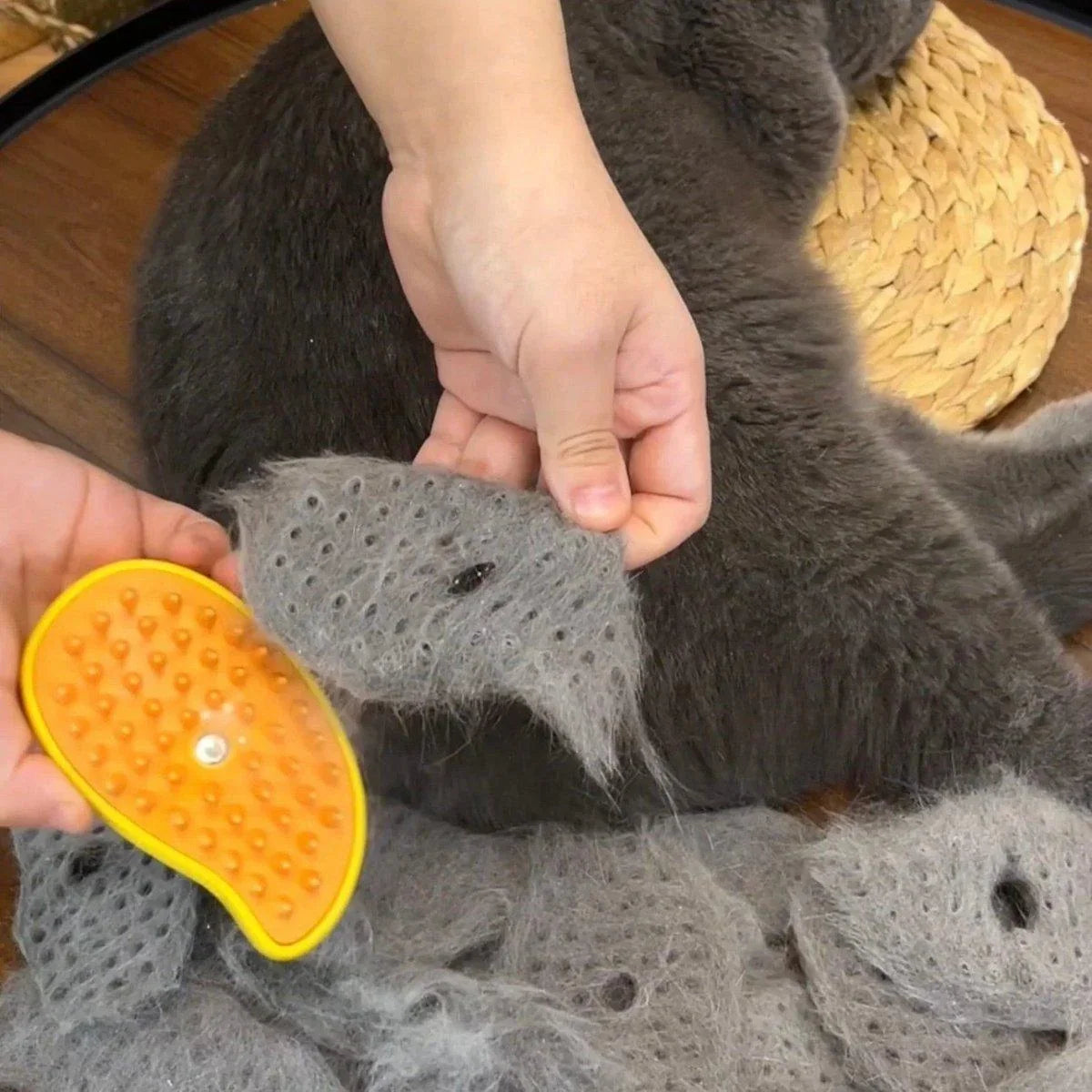 Cat Brush | Steam Detangling & Soft Bristles | USB Rechargeable