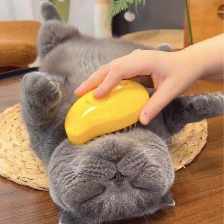 Cat Brush | Steam Detangling & Soft Bristles | USB Rechargeable