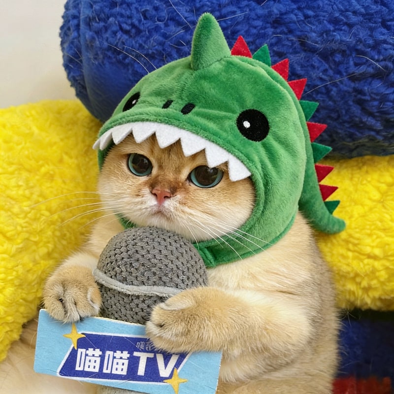 Cat Hat Costume Black Halloween Outfit with Plush Dinosaur Design and Chin Strap
