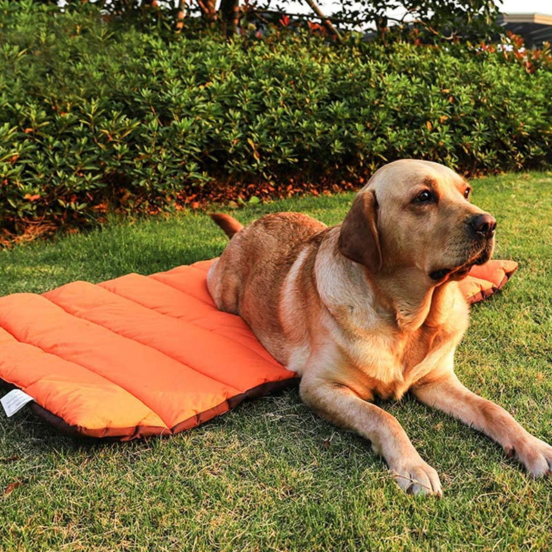 Dog Bed | Waterproof & Odor-Resistant | Foldable With Carry Bag