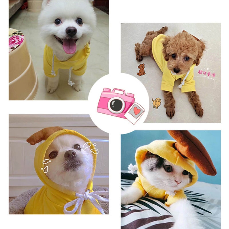 Dog Halloween Costume with Custom T-Shirt, Fleece Hoodie and Novelty Hood for Small Dogs