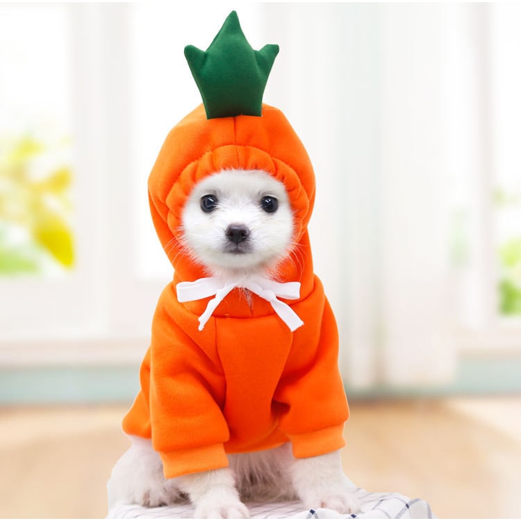 Dog Halloween Costume with Custom T-Shirt, Fleece Hoodie and Novelty Hood for Small Dogs