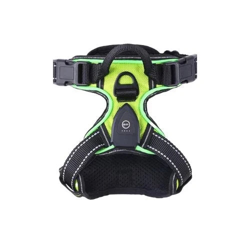 Dog Harness | USB Rechargeable LED & Padded Oxford