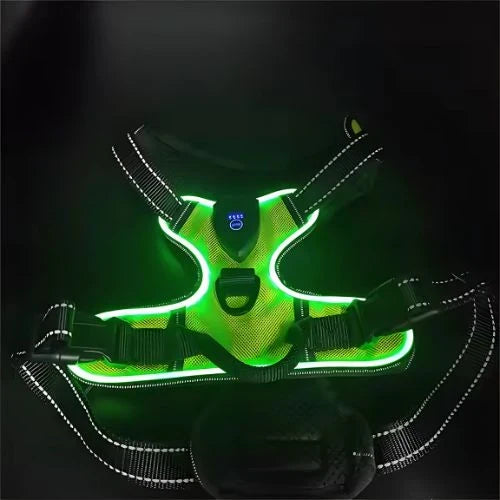 Dog Harness | USB Rechargeable LED & Padded Oxford