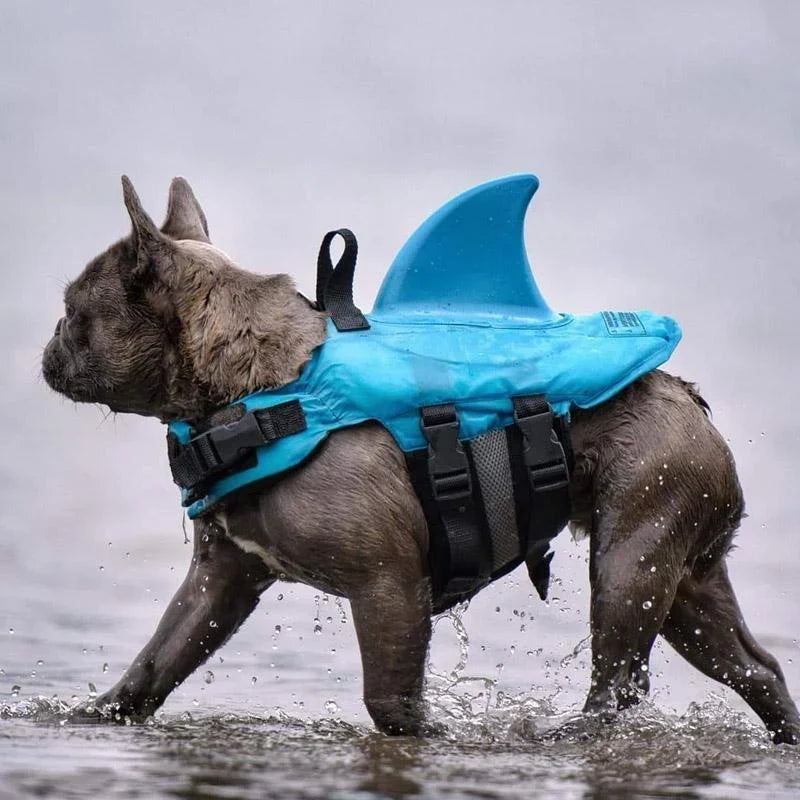 Dog Life Vest | Lightweight Shark-Fin & Grab Handle | For Small & Medium Dogs