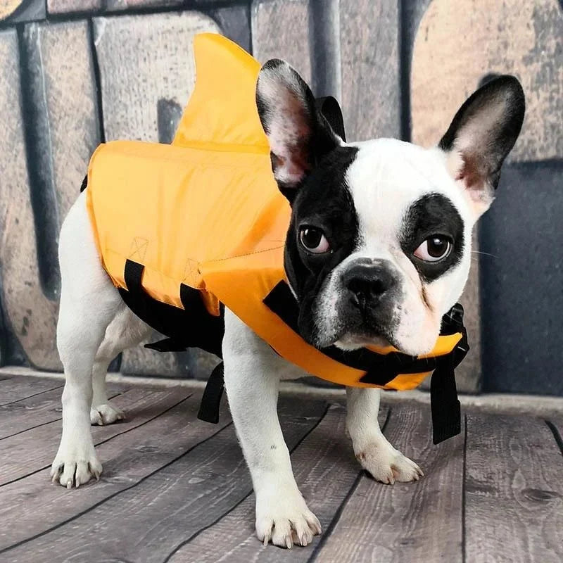 Dog Life Vest | Lightweight Shark-Fin & Grab Handle | For Small & Medium Dogs