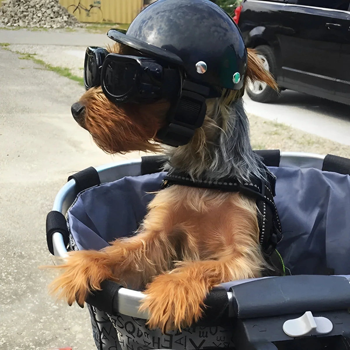 Dog Motorcycle Helmet & Goggles | Adjustable Fit & UV-Protective Lenses
