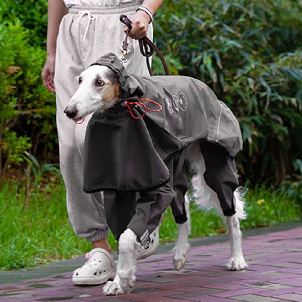 Dog Raincoat | Waterproof Hooded & Reflective Strips