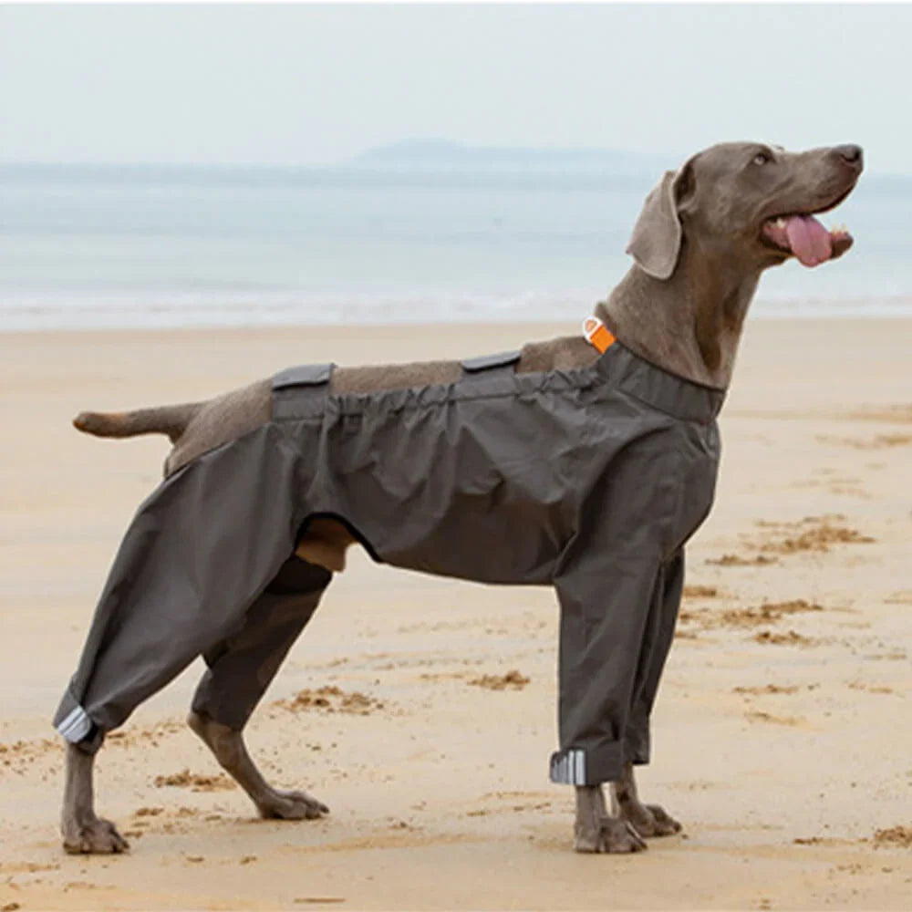 Dog Raincoat | Waterproof Hooded & Reflective Strips