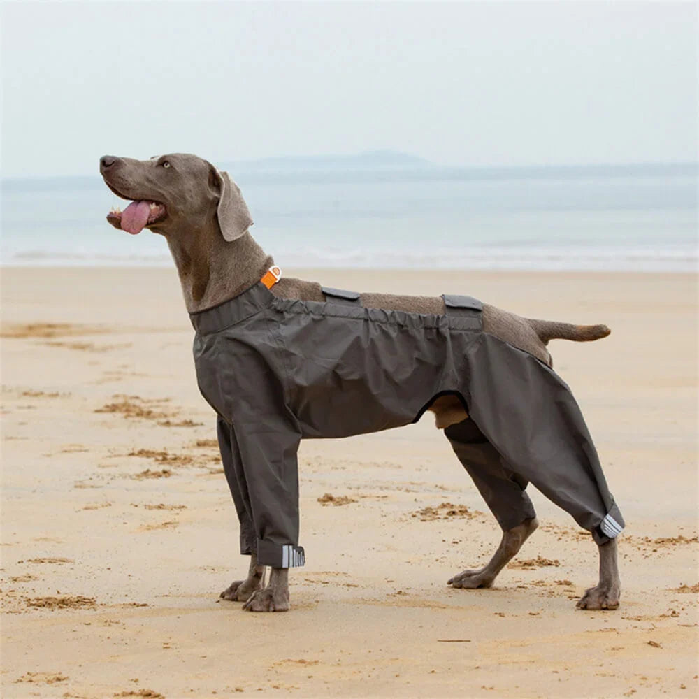 Dog Raincoat | Waterproof Hooded & Reflective Strips