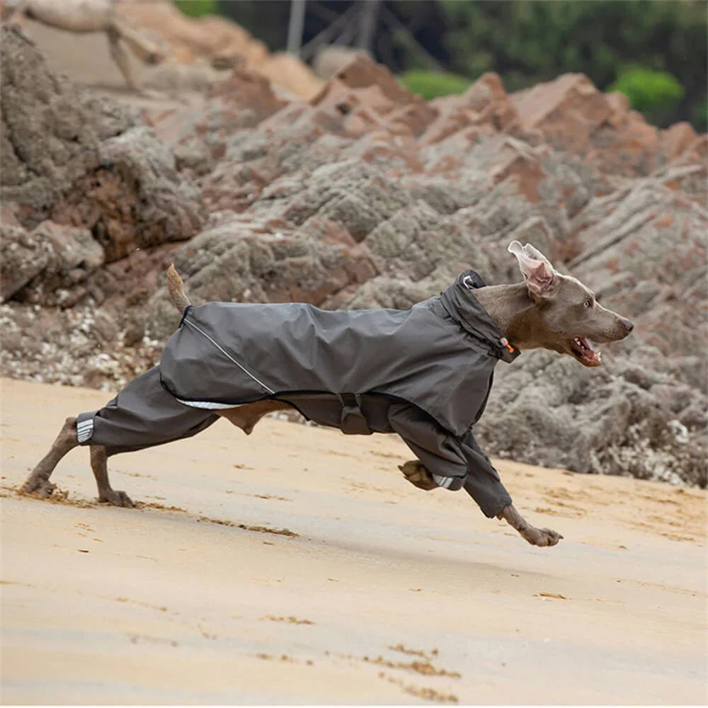 Dog Raincoat | Waterproof Hooded & Reflective Strips