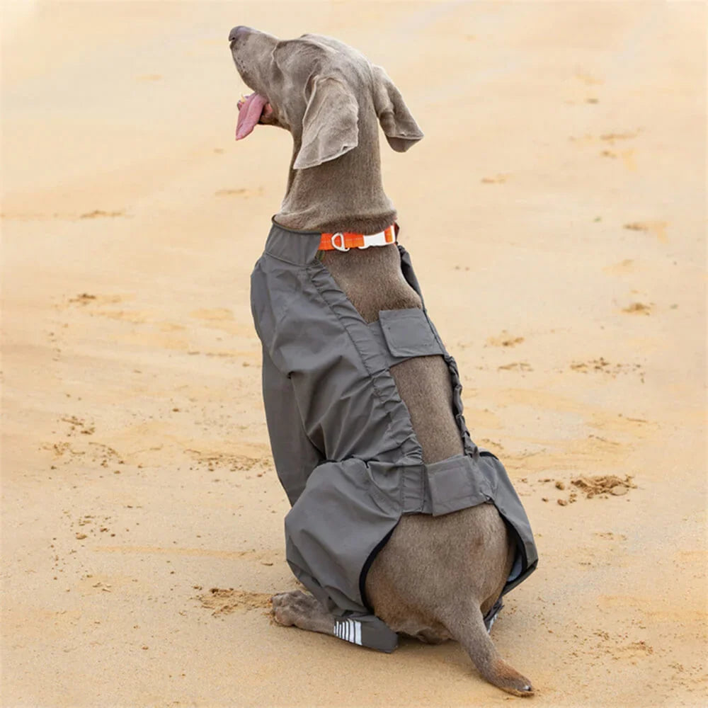 Dog Raincoat | Waterproof Hooded & Reflective Strips