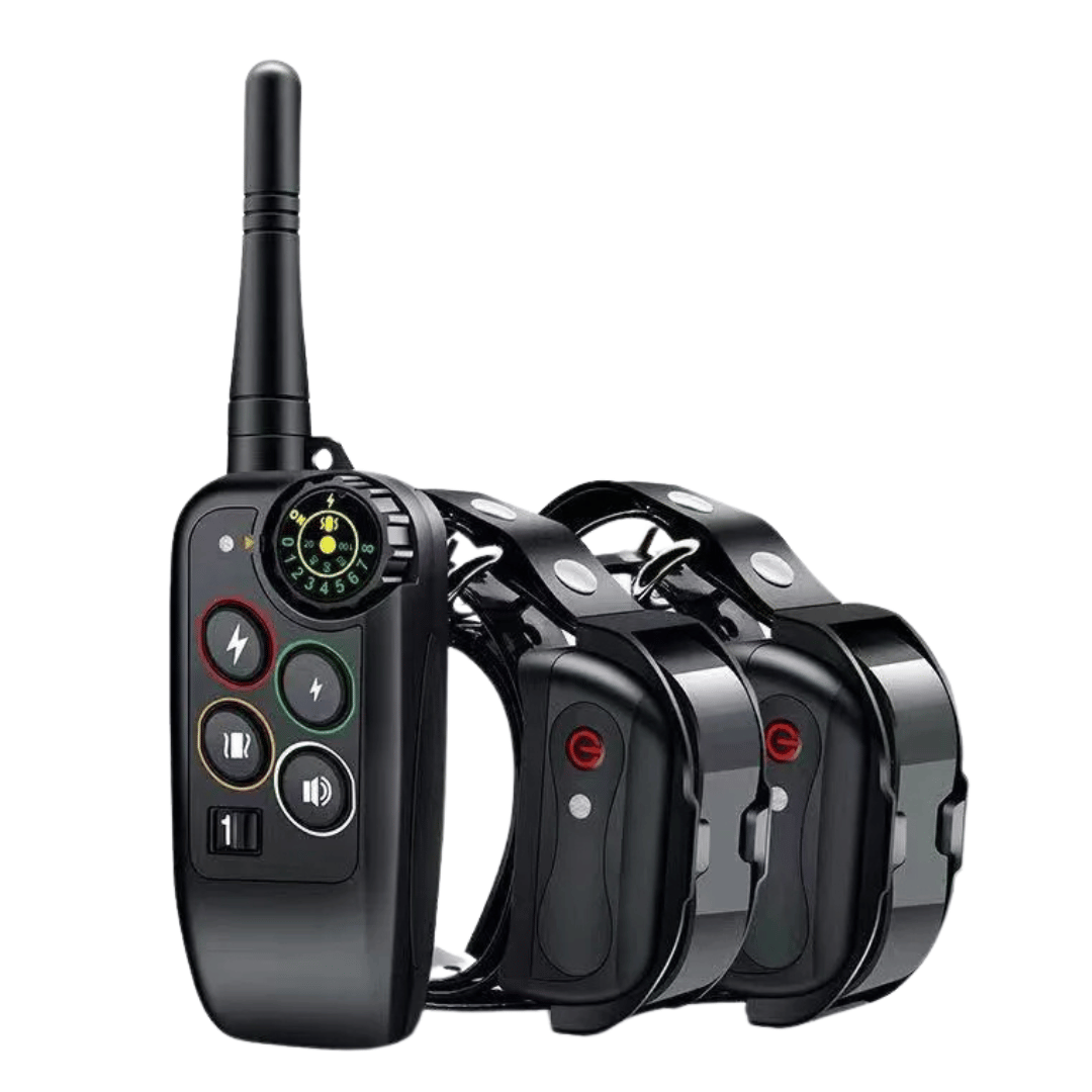 Dog Training Collar with Remote Control and Leash Tag