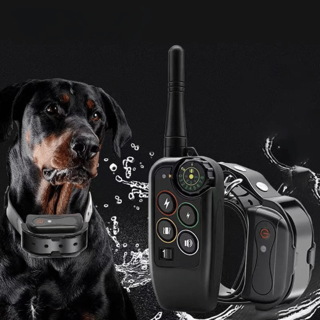 Dog Training Collar with Remote Control and Leash Tag