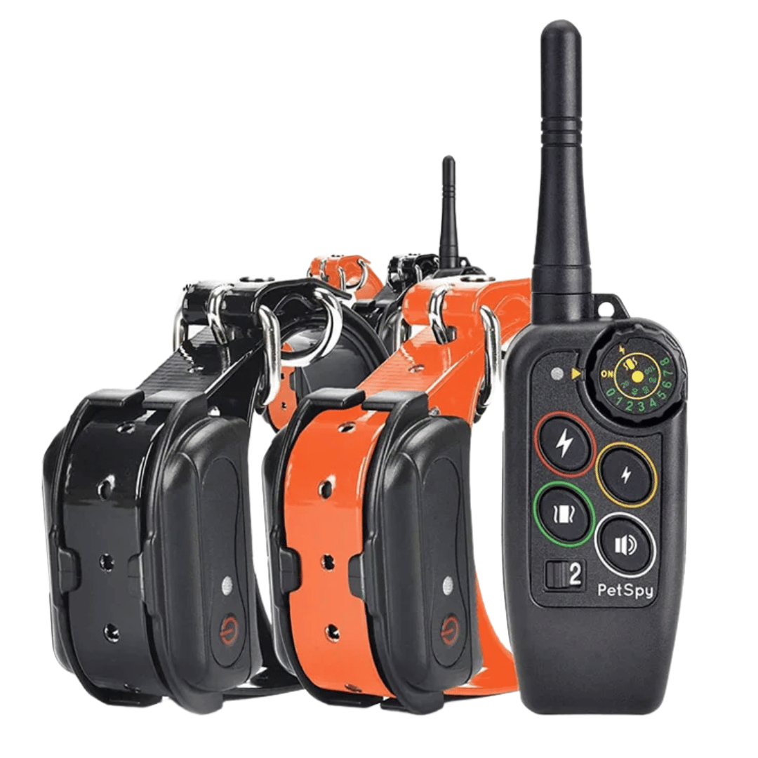 Dog Training Collar with Remote Control and Leash Tag