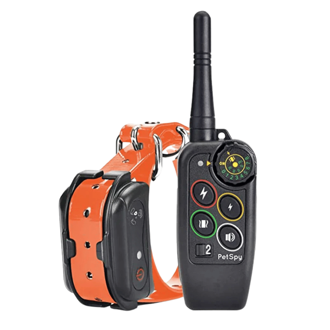 Dog Training Collar with Remote Control and Leash Tag