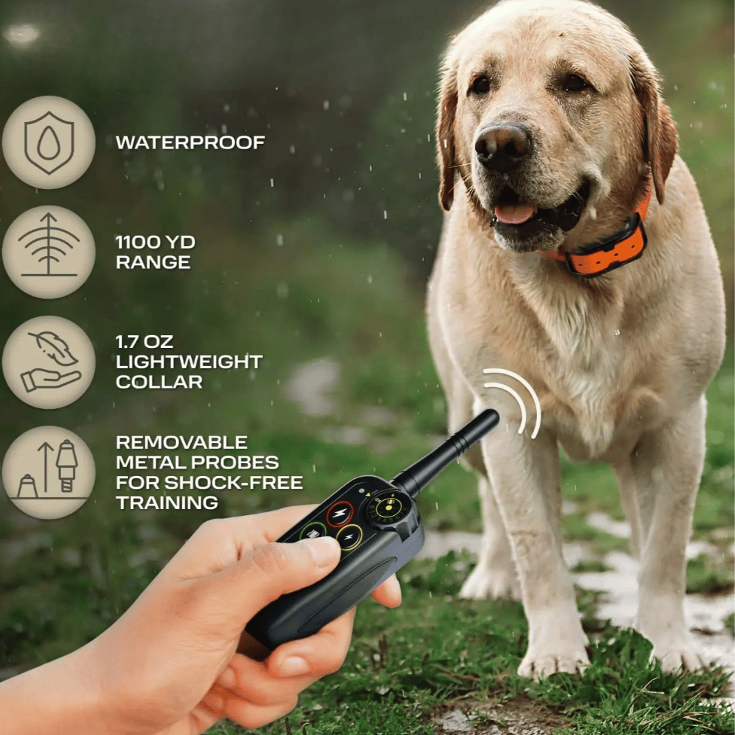Dog Training Collar with Remote Control and Leash Tag
