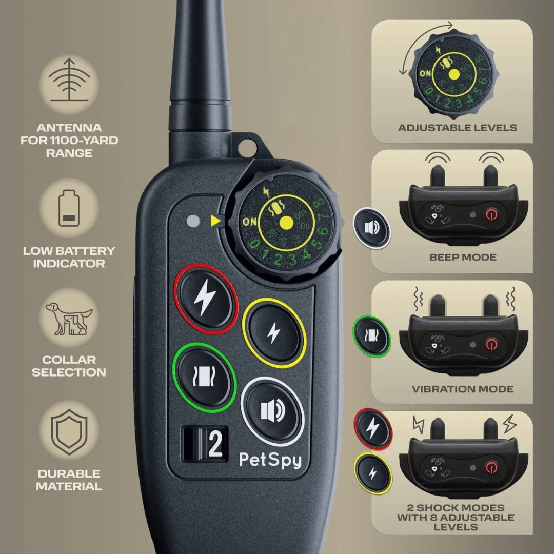 Dog Training Collar with Remote Control and Leash Tag