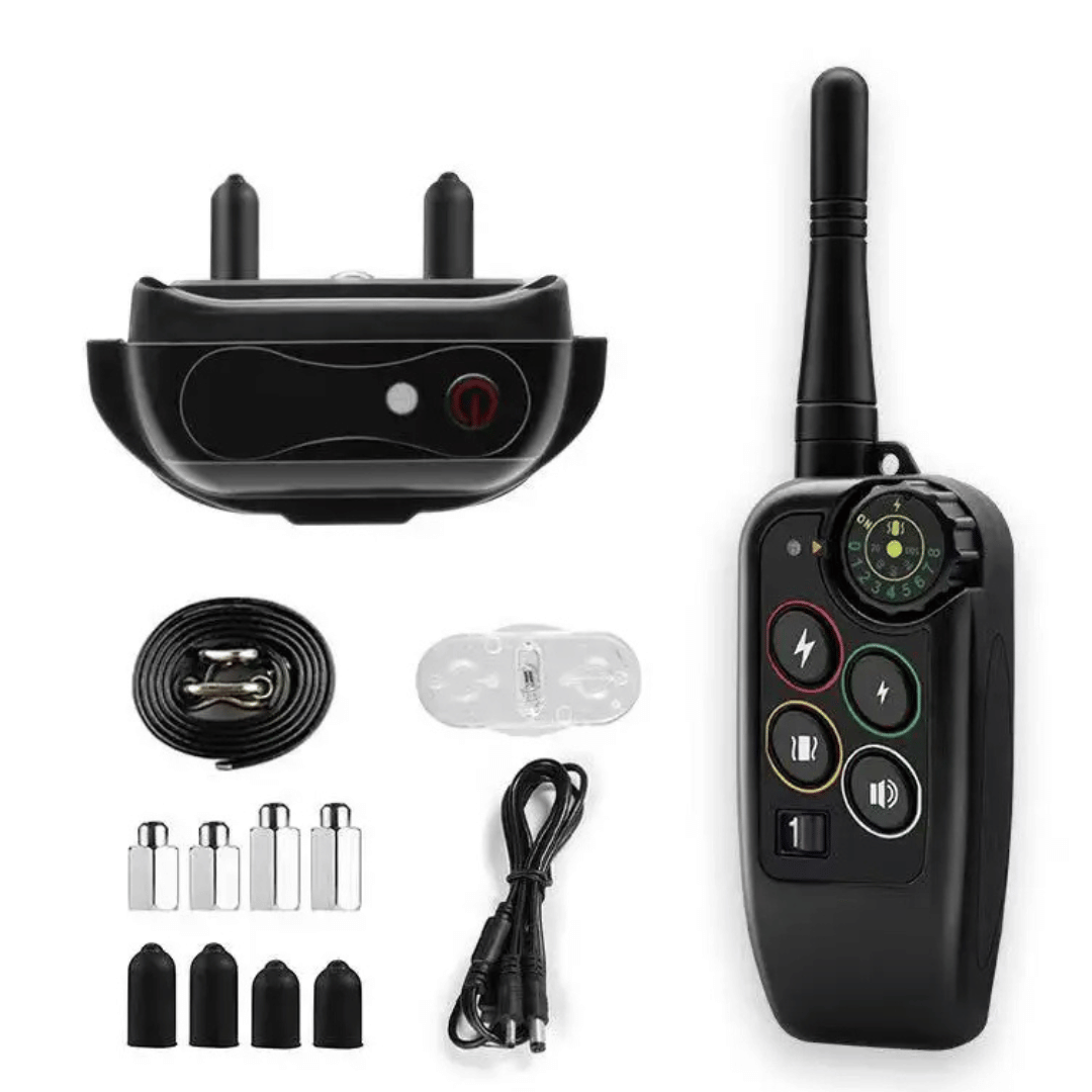 Dog Training Collar with Remote Control and Leash Tag