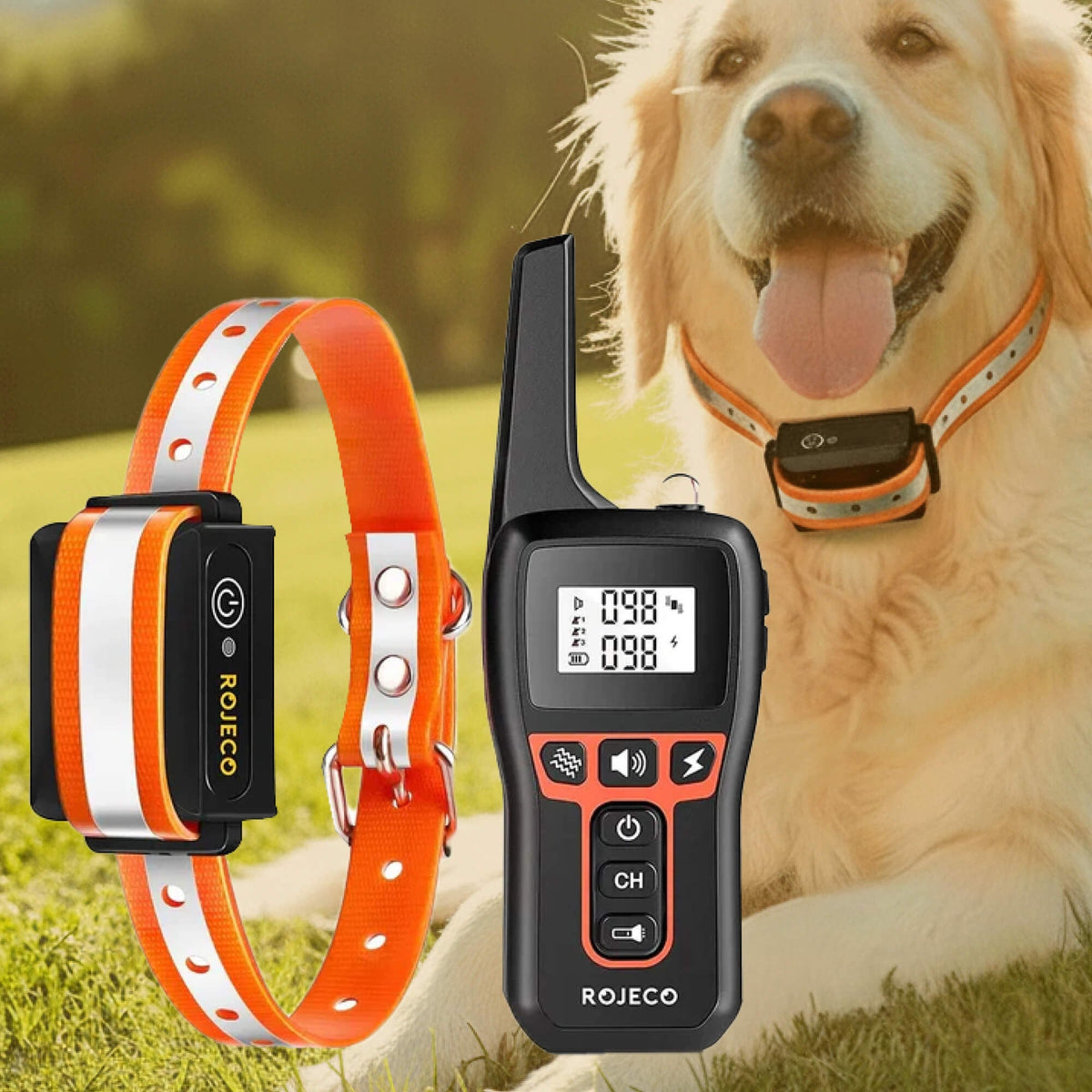 Dog Training Collar with Remote Control Waterproof Receiver and Name Tag Shock
