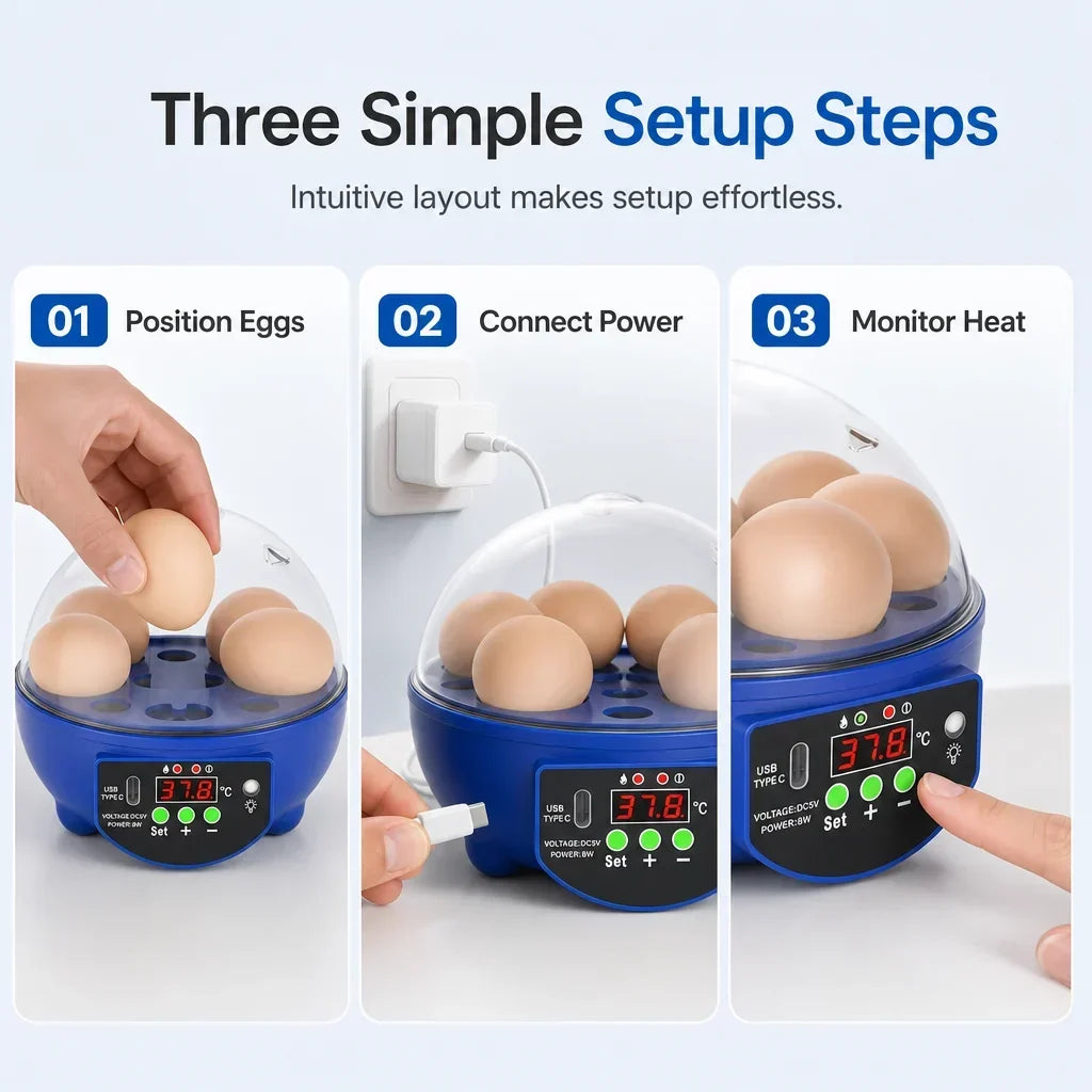 Egg Incubator | USB-Powered Automatic Temperature Control & Even Air Circulation | 4–6 Egg Capacity