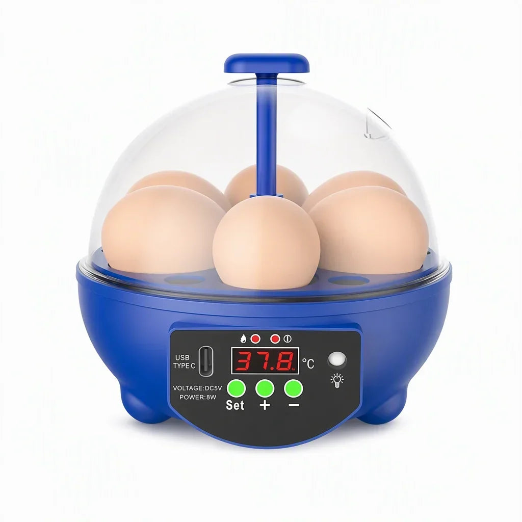 Egg Incubator | USB-Powered Automatic Temperature Control & Even Air Circulation | 4–6 Egg Capacity