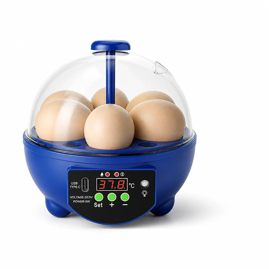 Egg Incubator | USB-Powered Automatic Temperature Control & Even Air Circulation | 4–6 Egg Capacity