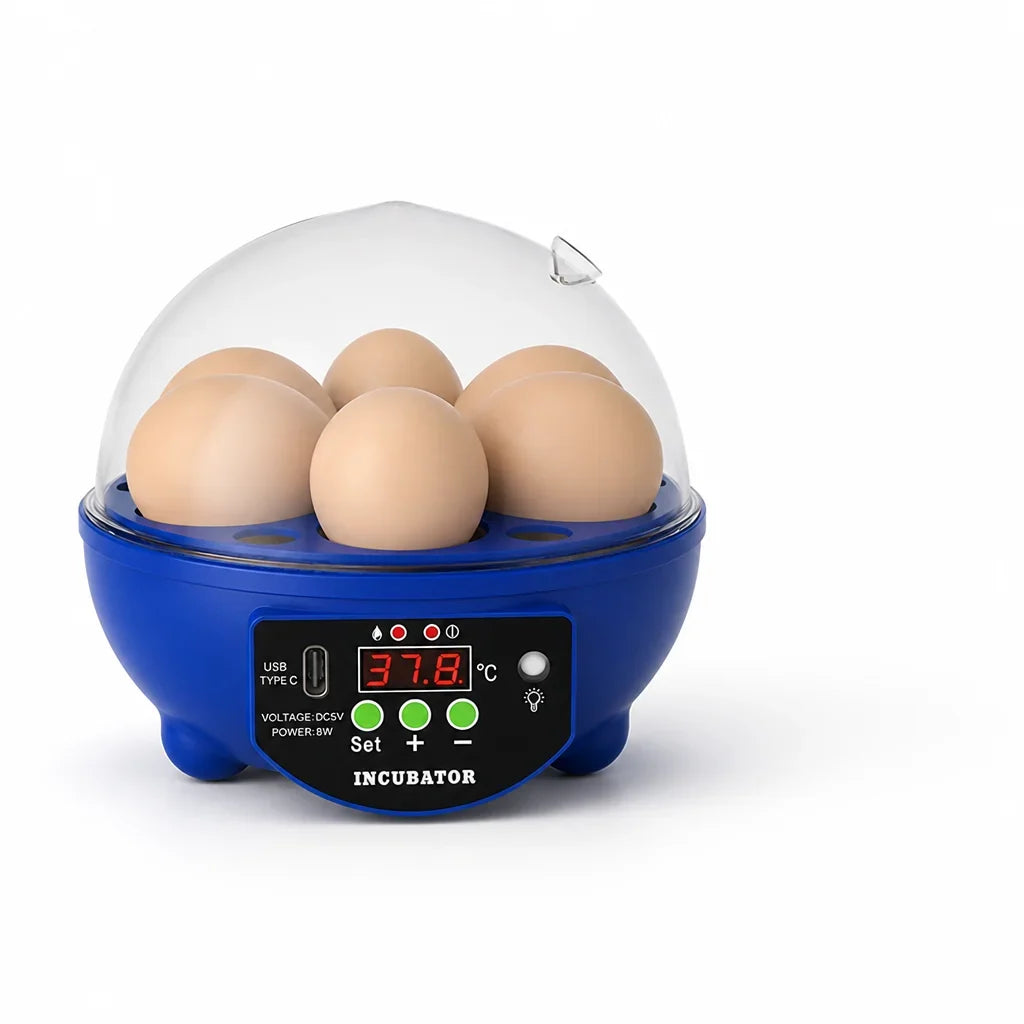 Egg Incubator | USB-Powered Automatic Temperature Control & Even Air Circulation | 4–6 Egg Capacity