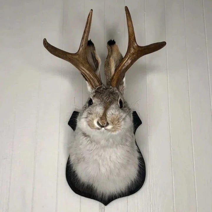 Faux Taxidermy Jackalope Head Wall Mount with Wooden Plaque