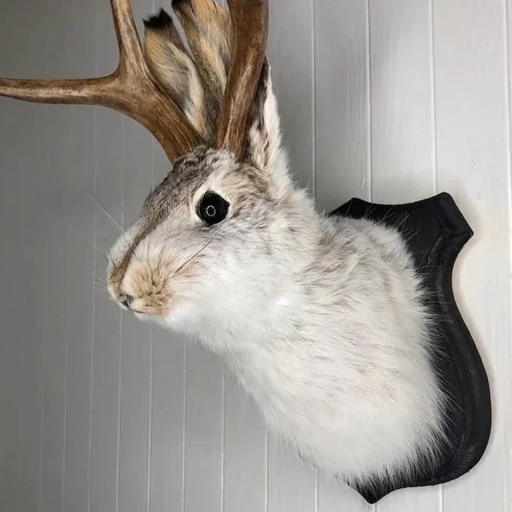 Faux Taxidermy Jackalope Head Wall Mount with Wooden Plaque
