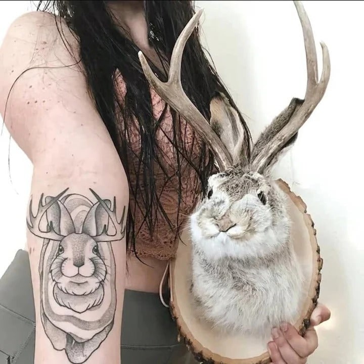 Faux Taxidermy Jackalope Head Wall Mount with Wooden Plaque