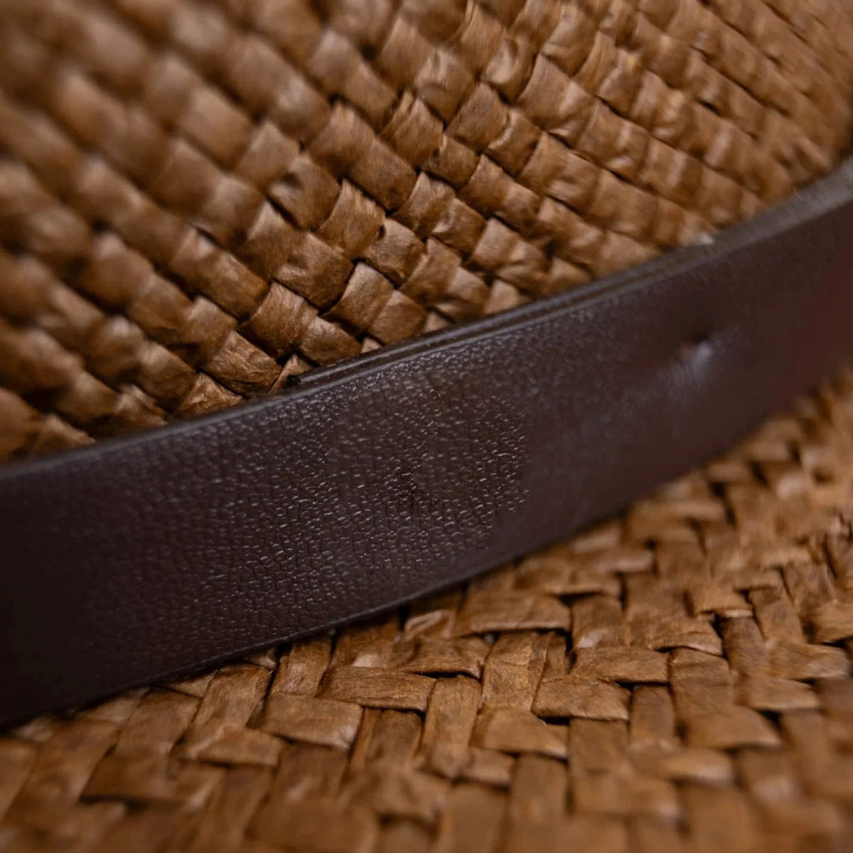 Fedora Hat | Wool Felt Flat Brim & Feathered Braided Band