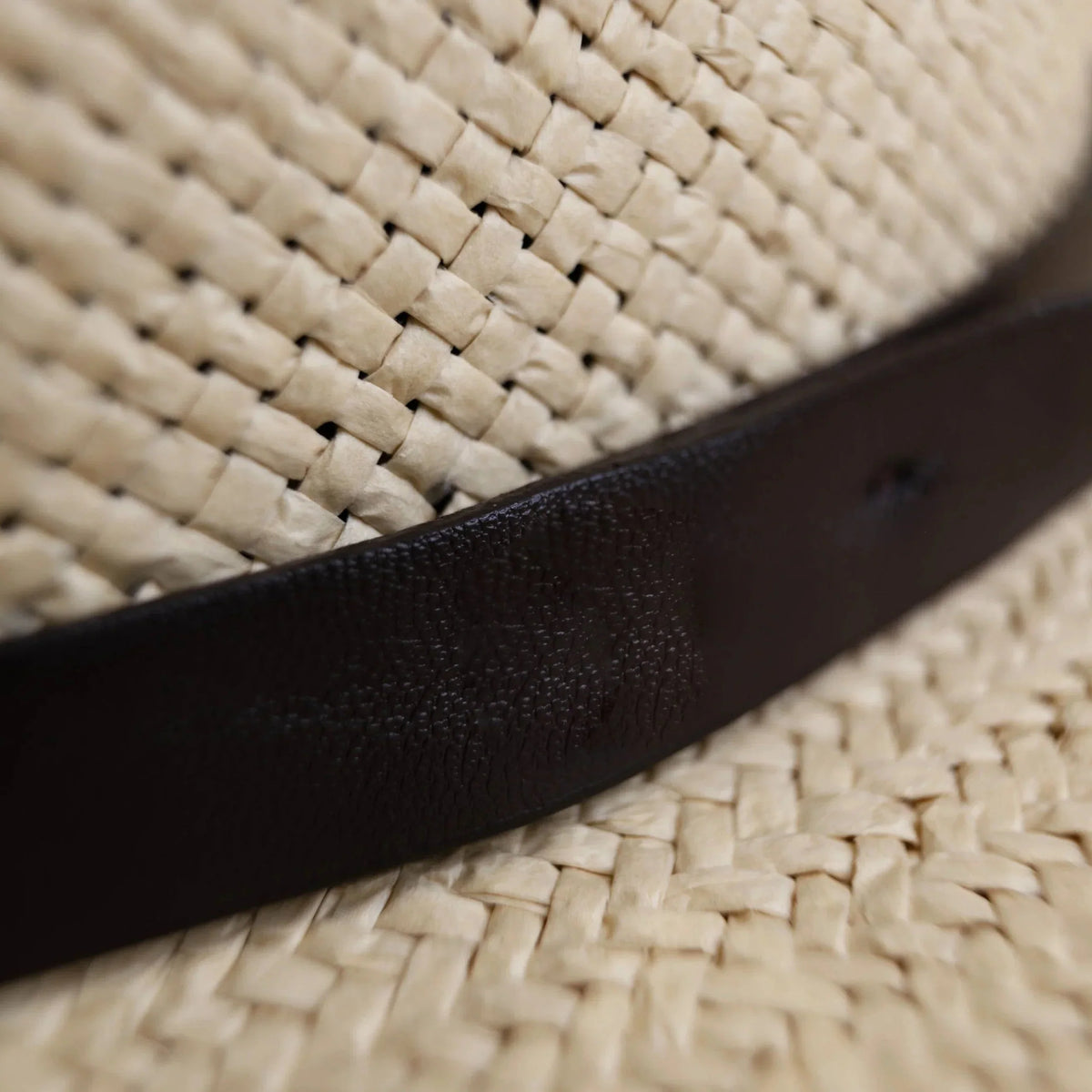 Fedora Hat | Wool Felt Flat Brim & Feathered Braided Band
