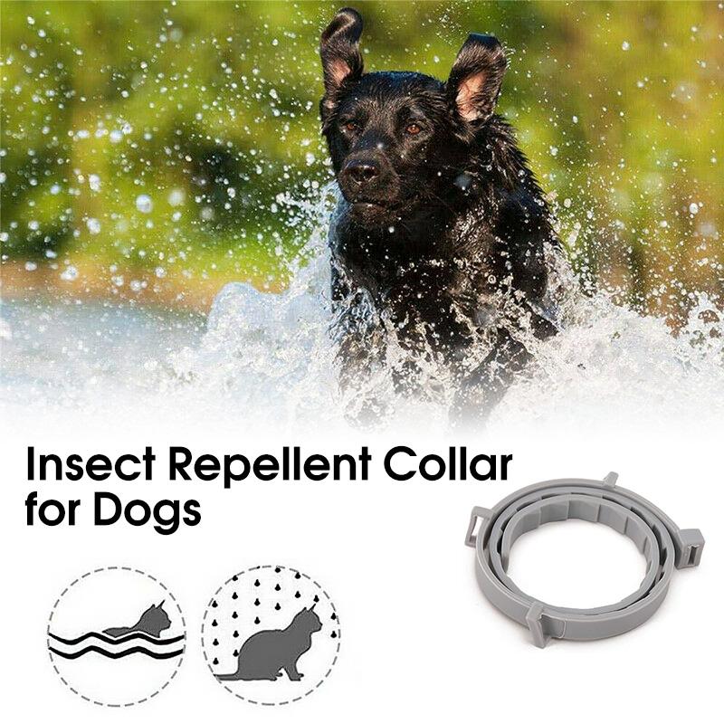 Flea & Tick Collar | Waterproof Silicone & 8-Month Protection | Adjustable