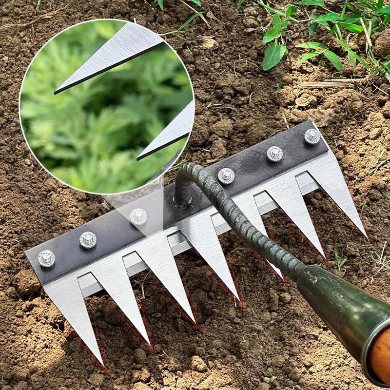 Garden Rake Head | Rust-Resistant Carbon Steel | 5–8 Tine Options