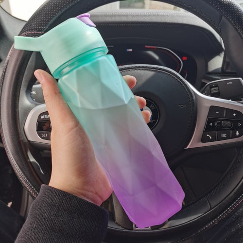 Misting Stainless Steel Water Bottle with Spray Trigger Flip-Top Spout for Sports Fitness