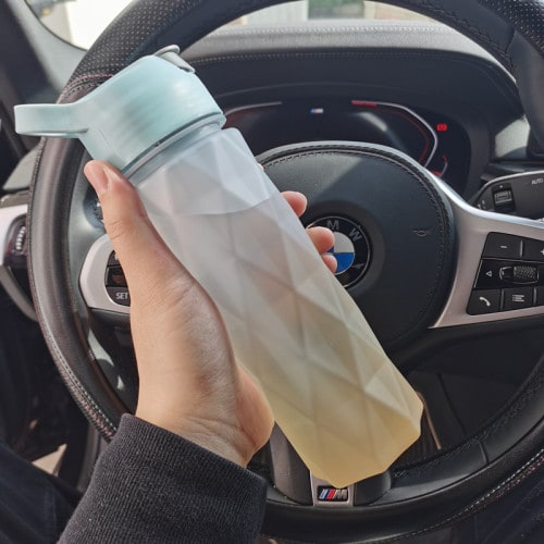 Misting Stainless Steel Water Bottle with Spray Trigger Flip-Top Spout for Sports Fitness