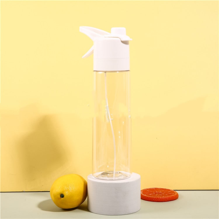 Misting Stainless Steel Water Bottle with Spray Trigger Flip-Top Spout for Sports Fitness