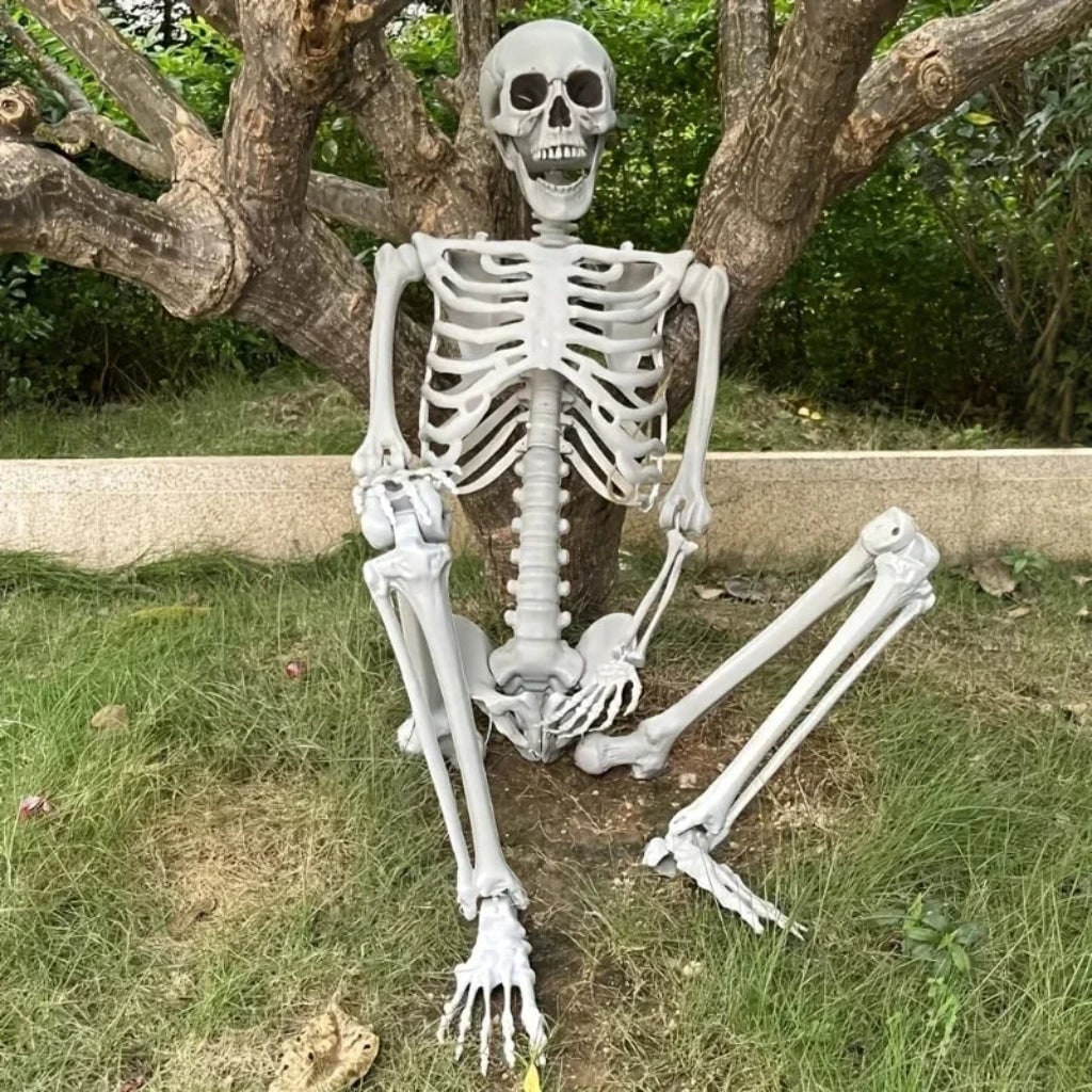 Halloween Skeleton Decoration and Prop Life-Size Poseable with Articulated Joints