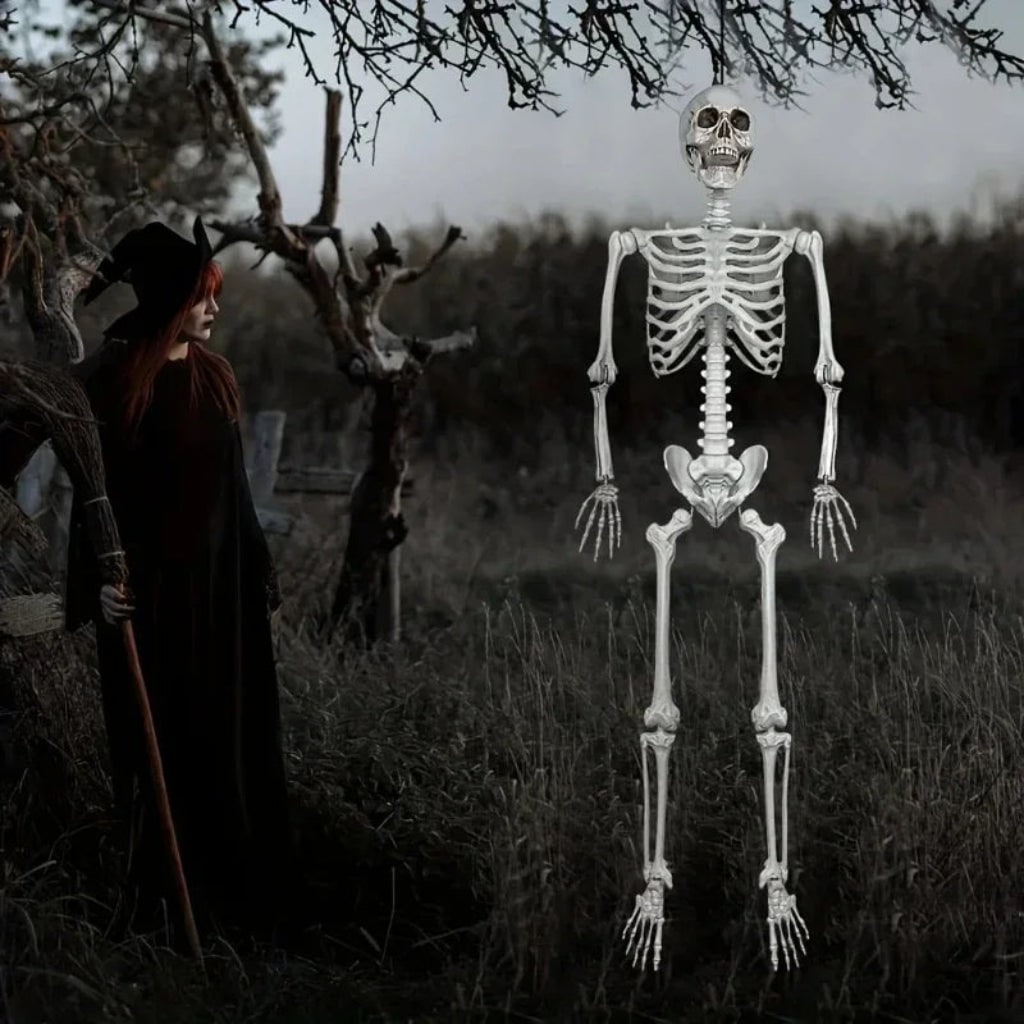 Halloween Skeleton Decoration and Prop Life-Size Poseable with Articulated Joints