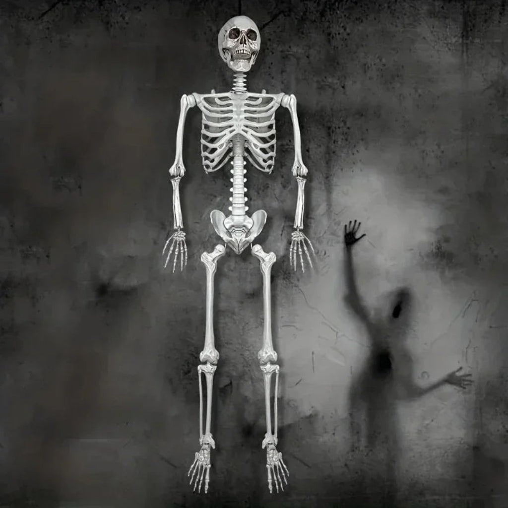 Halloween Skeleton Decoration and Prop Life-Size Poseable with Articulated Joints