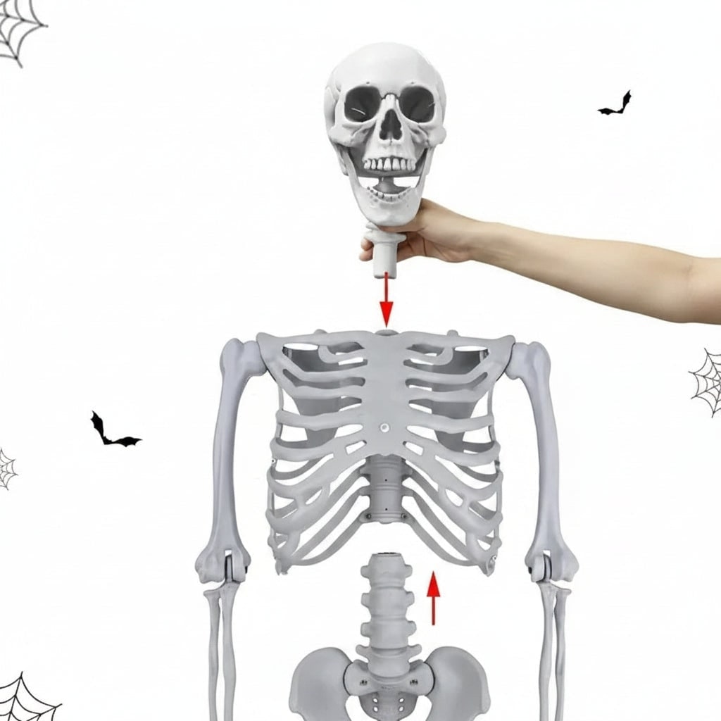 Halloween Skeleton Decoration and Prop Life-Size Poseable with Articulated Joints